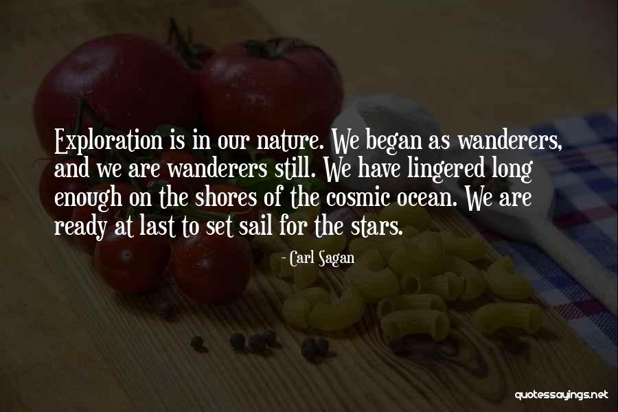 The Wanderers Quotes By Carl Sagan The Wanderers Quotes By Carl Sagan