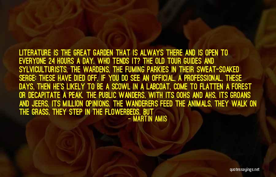 The Wanderers Quotes By Martin Amis The Wanderers Quotes By Martin Amis