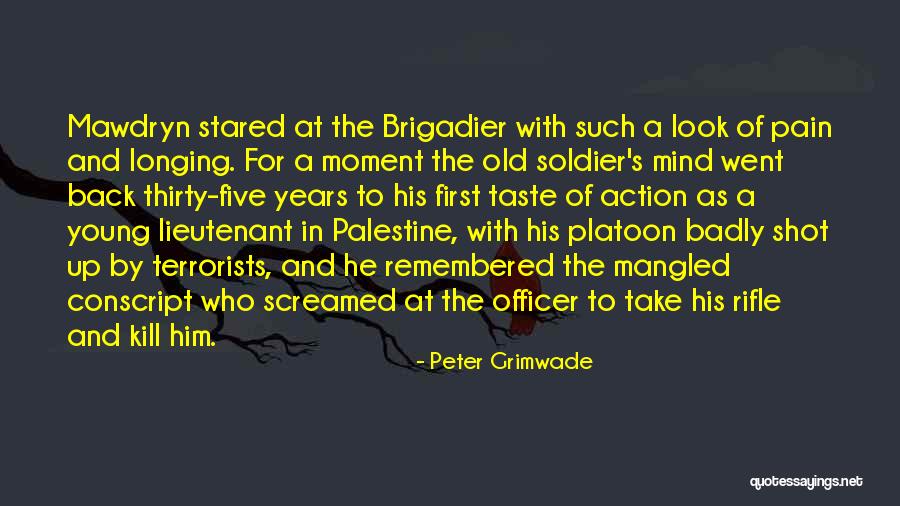 The War Doctor Quotes By Peter Grimwade The War Doctor Quotes By Peter Grimwade
