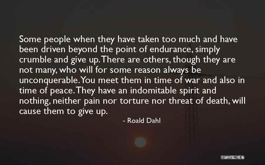 The War Hero Quotes By Roald Dahl The War Hero Quotes By Roald Dahl