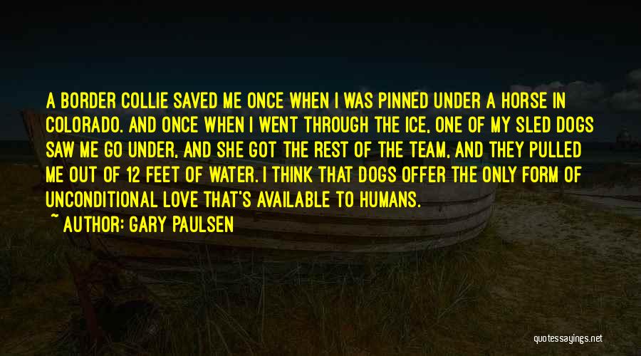 The Water And Love Quotes By Gary Paulsen