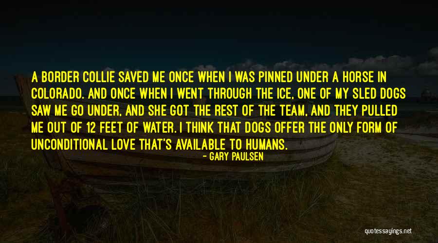 The Water And Love Quotes By Gary Paulsen The Water And Love Quotes By Gary Paulsen