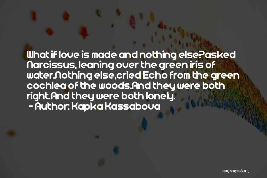 The Water And Love Quotes By Kapka Kassabova