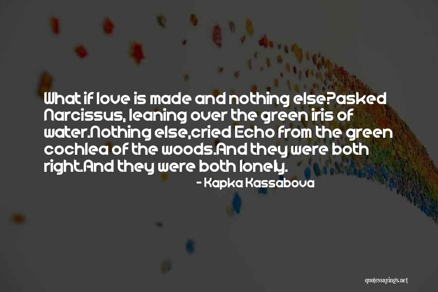 The Water And Love Quotes By Kapka Kassabova