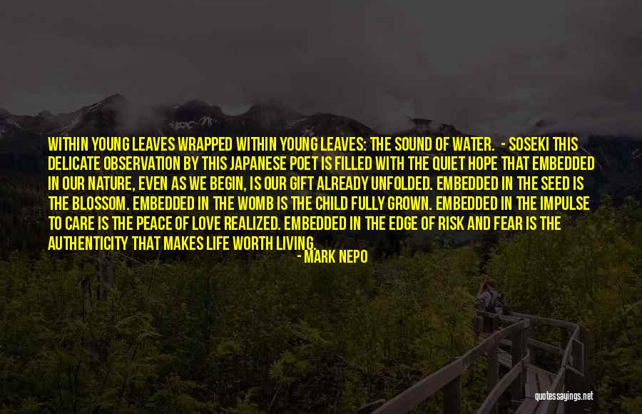 The Water And Love Quotes By Mark Nepo