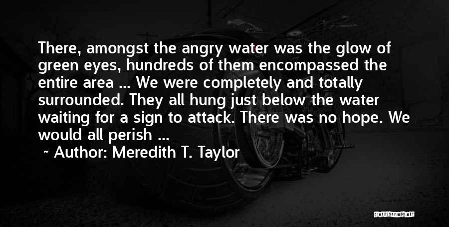 The Water And Love Quotes By Meredith T. Taylor