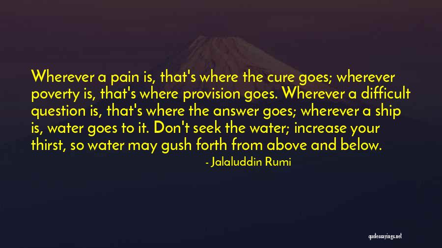 The Water Cure Quotes By Jalaluddin Rumi The Water Cure Quotes By Jalaluddin Rumi