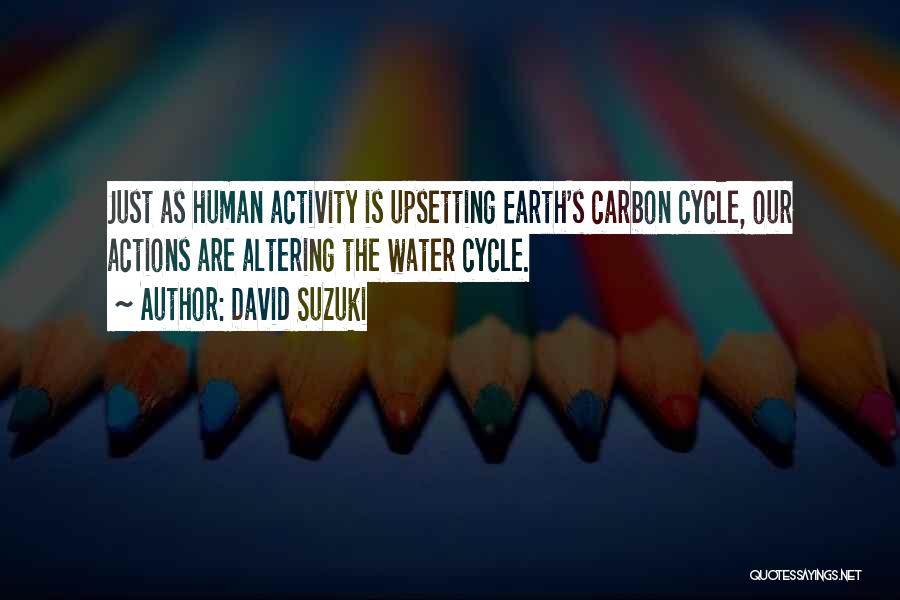 The Water Cycle Quotes By David Suzuki