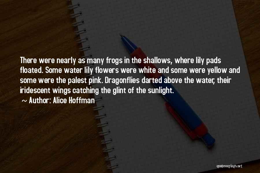 The Water Lily Quotes By Alice Hoffman