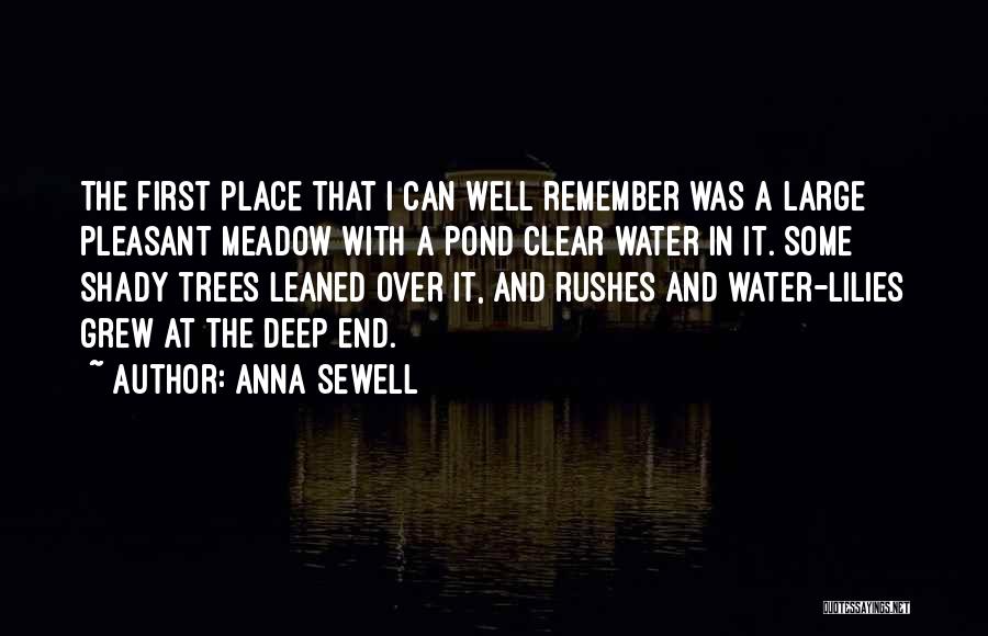 The Water Lily Quotes By Anna Sewell