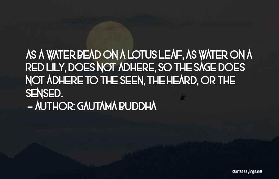 The Water Lily Quotes By Gautama Buddha