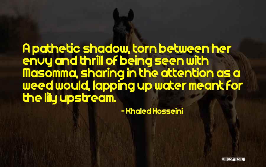 The Water Lily Quotes By Khaled Hosseini