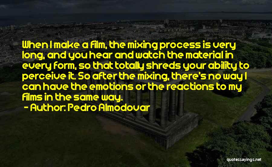 The Way Film Quotes By Pedro Almodovar