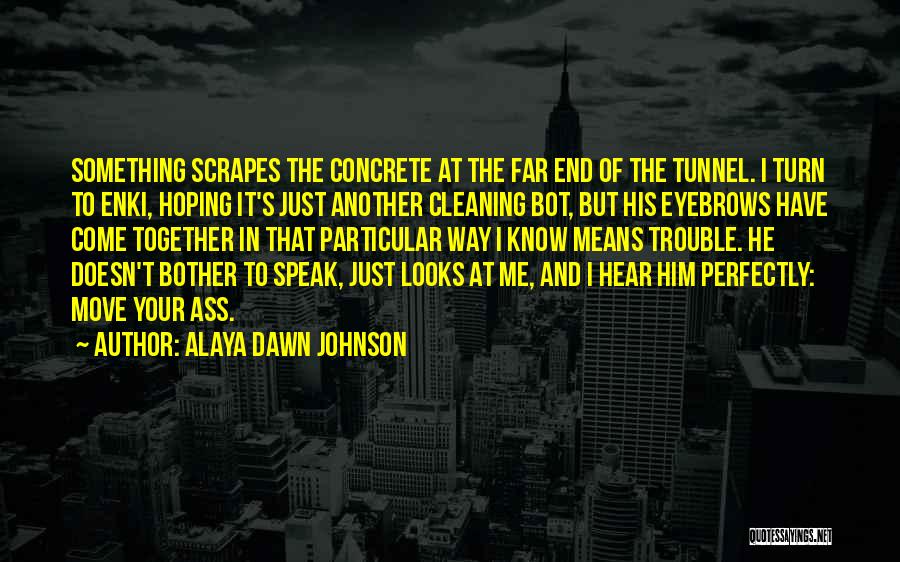 The Way He Looks At Me Quotes By Alaya Dawn Johnson