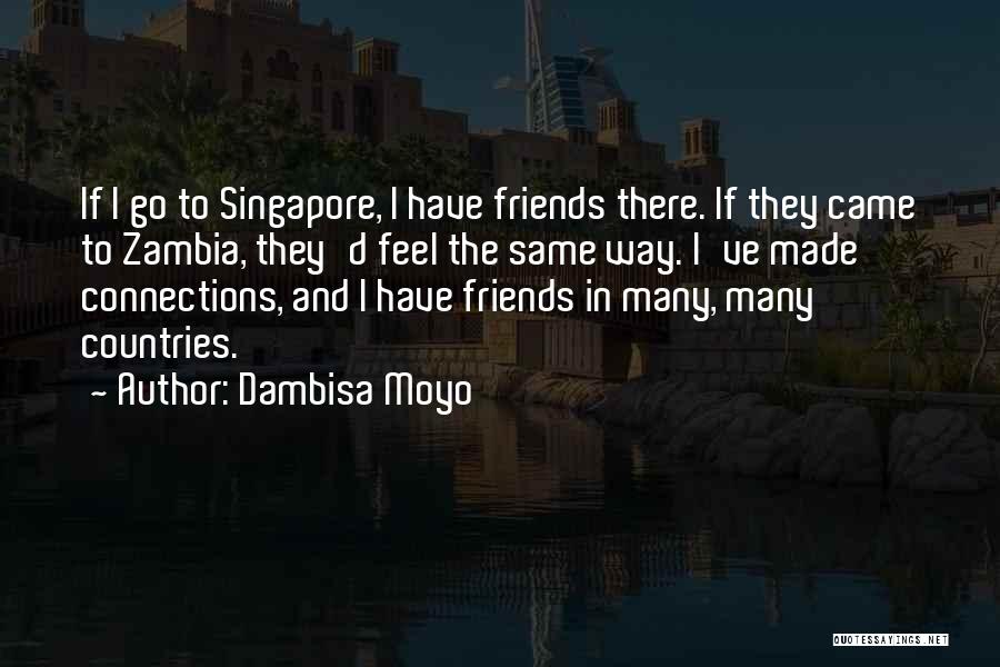 The Way I Feel Quotes By Dambisa Moyo
