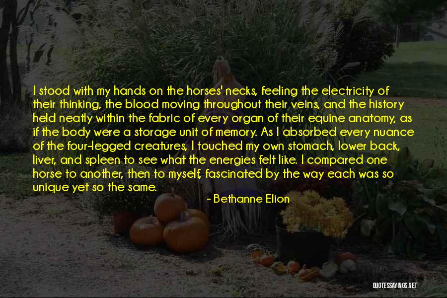 The Way I See Myself Quotes By Bethanne Elion The Way I See Myself Quotes By Bethanne Elion