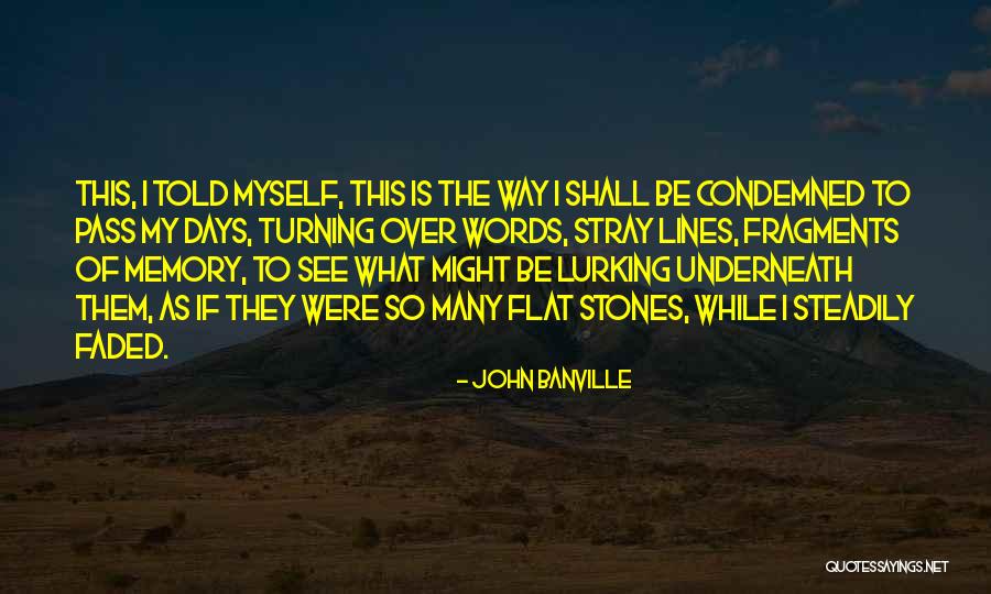 The Way I See Myself Quotes By John Banville