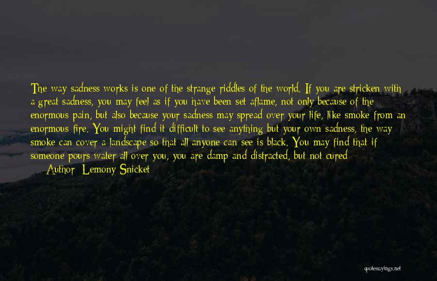 The Way Life Works Quotes By Lemony Snicket