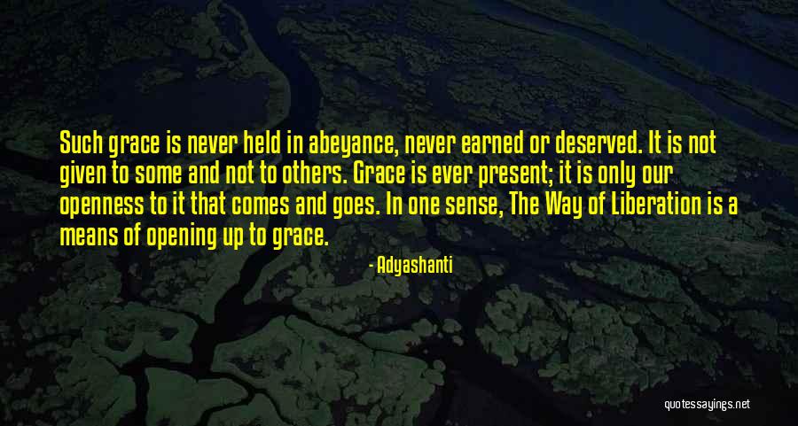 The Way Of Liberation Quotes By Adyashanti The Way Of Liberation Quotes By Adyashanti
