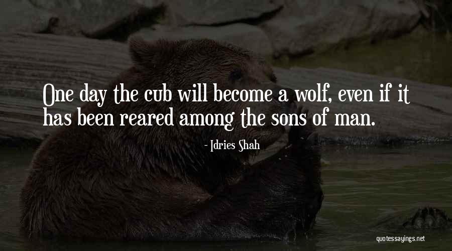 The Way Of The Sufi Quotes By Idries Shah