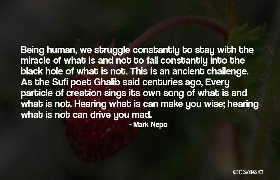 The Way Of The Sufi Quotes By Mark Nepo The Way Of The Sufi Quotes By Mark Nepo
