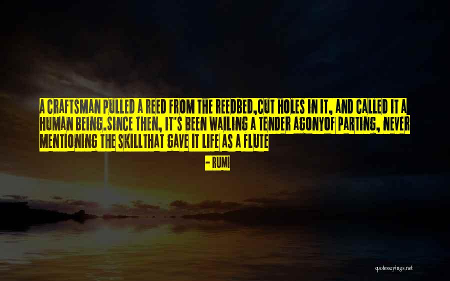 The Way Of The Sufi Quotes By Rumi The Way Of The Sufi Quotes By Rumi