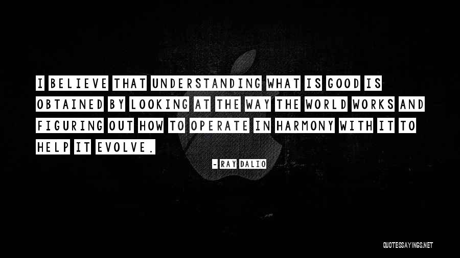The Way The World Works Quotes By Ray Dalio The Way The World Works Quotes By Ray Dalio