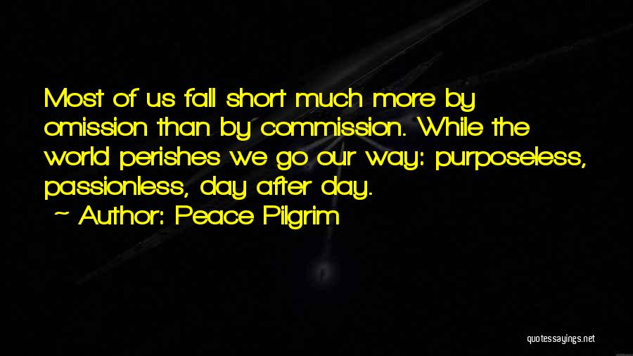 The Way We Fall Quotes By Peace Pilgrim