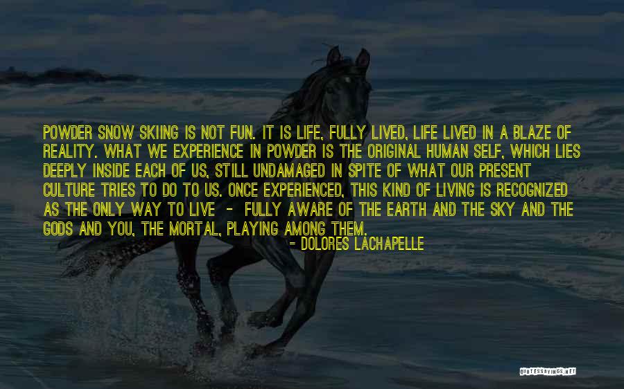 The Way We Live Our Life Quotes By Dolores LaChapelle