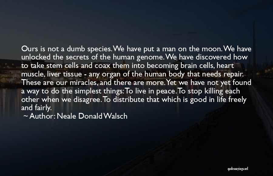 The Way We Live Our Life Quotes By Neale Donald Walsch