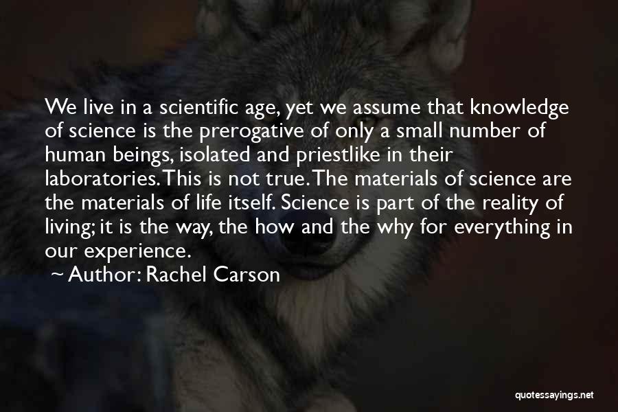 The Way We Live Our Life Quotes By Rachel Carson