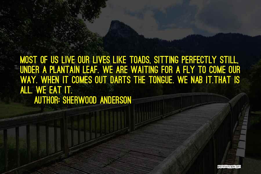 The Way We Live Our Life Quotes By Sherwood Anderson