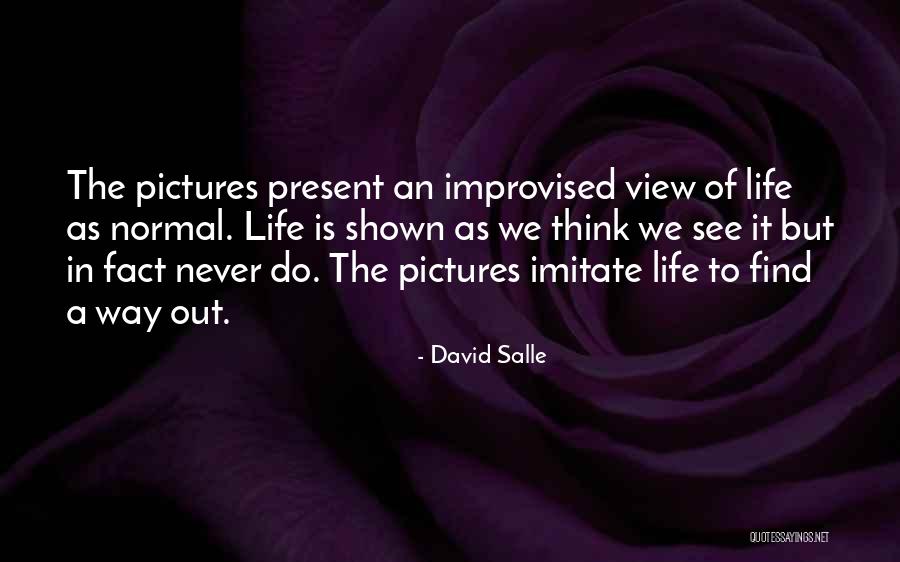 The Way We See Life Quotes By David Salle The Way We See Life Quotes By David Salle