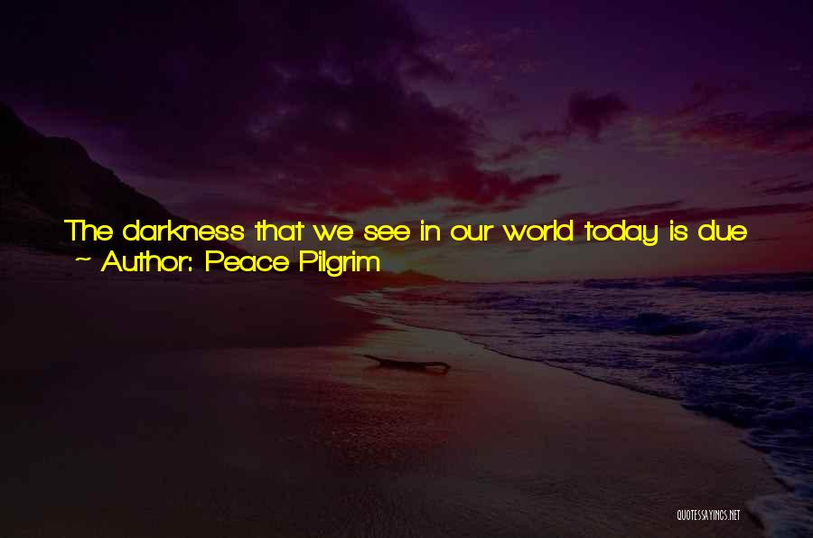 The Way We See Things Quotes By Peace Pilgrim