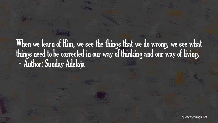 The Way We See Things Quotes By Sunday Adelaja