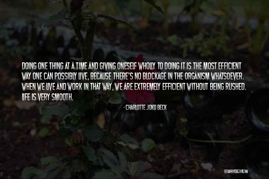 The Way We Work Quotes By Charlotte Joko Beck