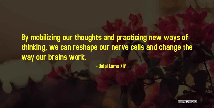 The Way We Work Quotes By Dalai Lama XIV