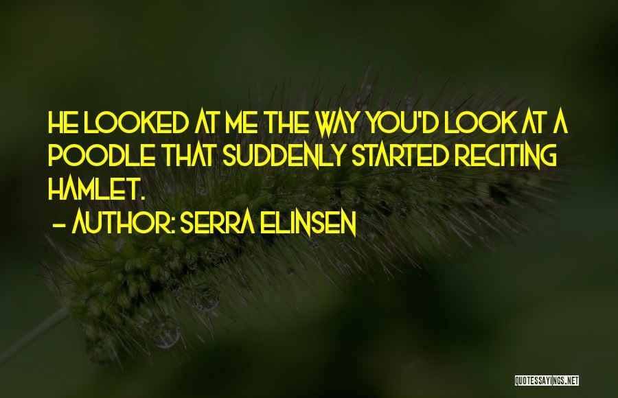The Way You Look At Me Quotes By Serra Elinsen