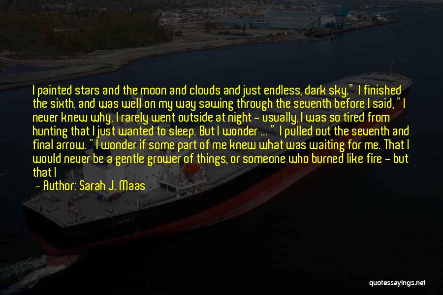 The Way You Look At Things Quotes By Sarah J. Maas