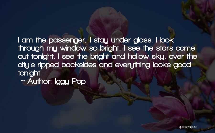 The Way You Look Tonight Quotes By Iggy Pop