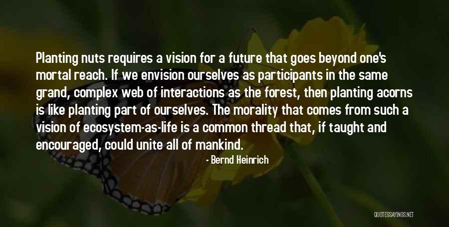 The Web Of Life Quotes By Bernd Heinrich The Web Of Life Quotes By Bernd Heinrich