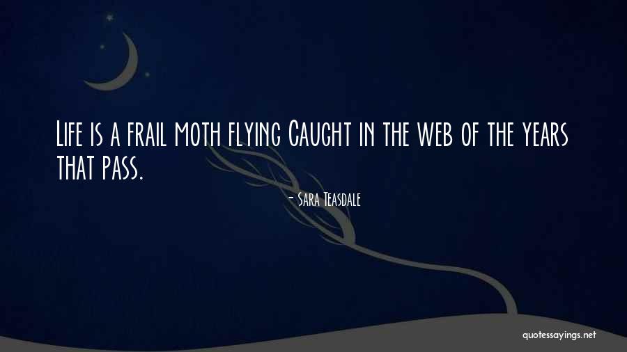 The Web Of Life Quotes By Sara Teasdale The Web Of Life Quotes By Sara Teasdale