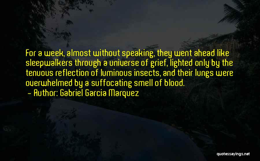 The Week Ahead Quotes By Gabriel Garcia Marquez