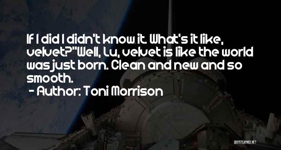 The Well Beloved Quotes By Toni Morrison