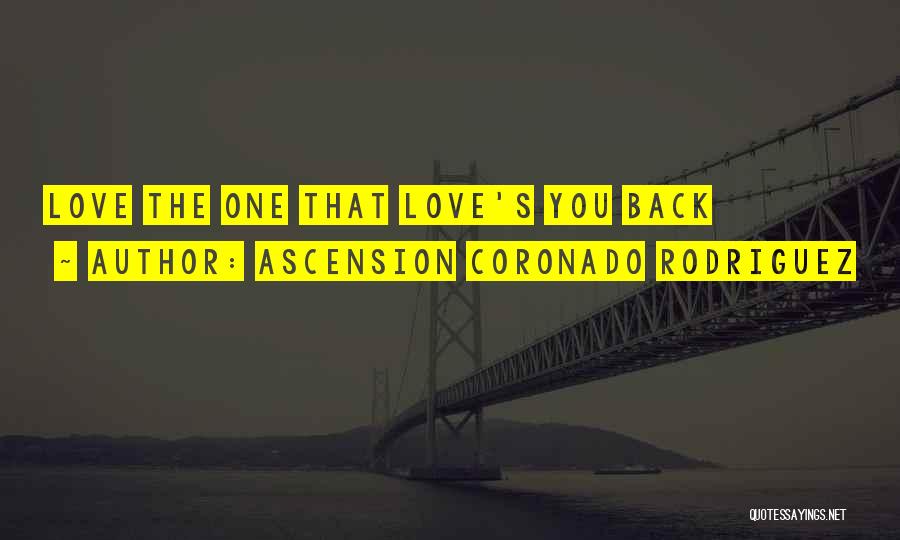 The Well Of Ascension Quotes By Ascension Coronado Rodriguez