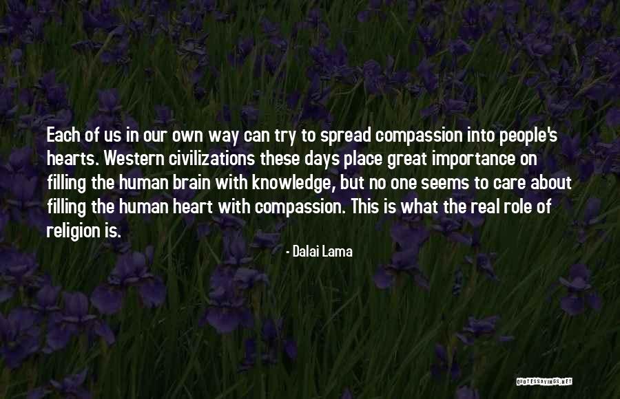 The Western Us Quotes By Dalai Lama