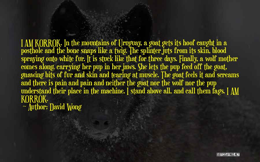 The White Bone Quotes By David Wong