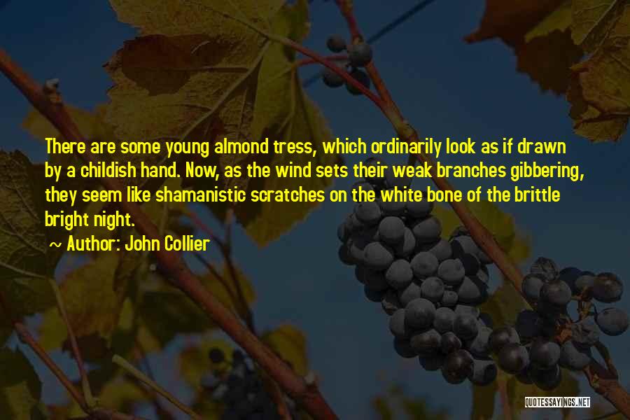 The White Bone Quotes By John Collier