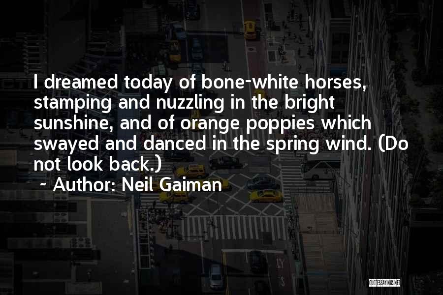 The White Bone Quotes By Neil Gaiman