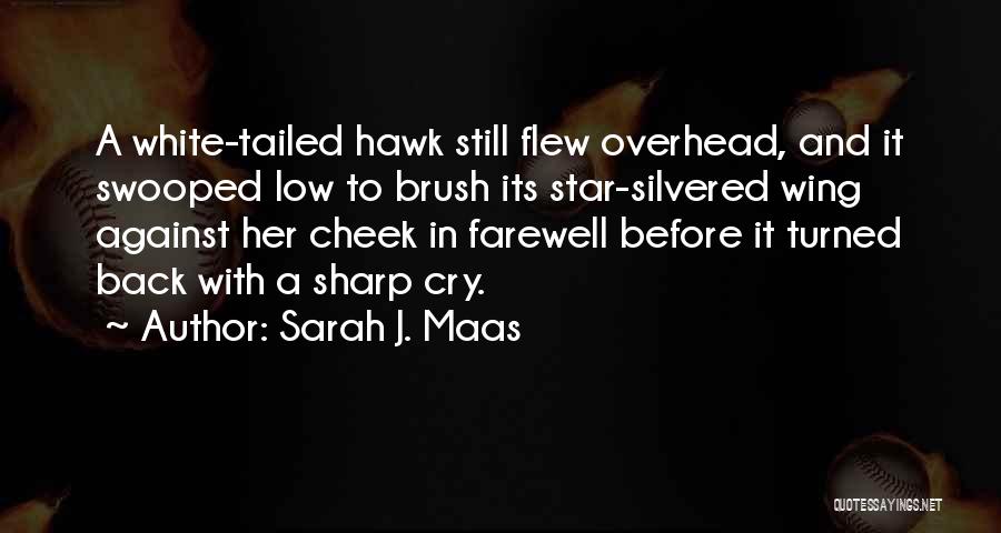 The White Hawk Quotes By Sarah J. Maas